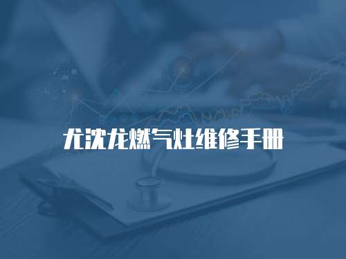 尤沈龍燃?xì)庠罹S修手冊