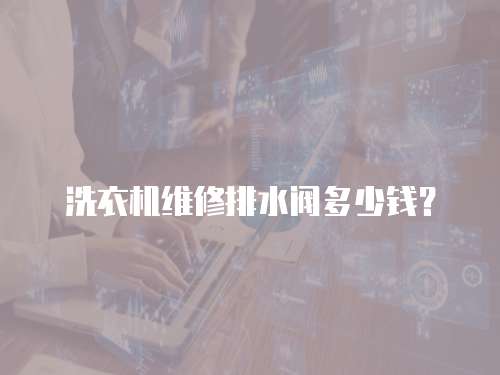 洗衣機(jī)維修排水閥多少錢？