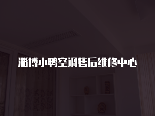淄博小鴨空調售后維修中心