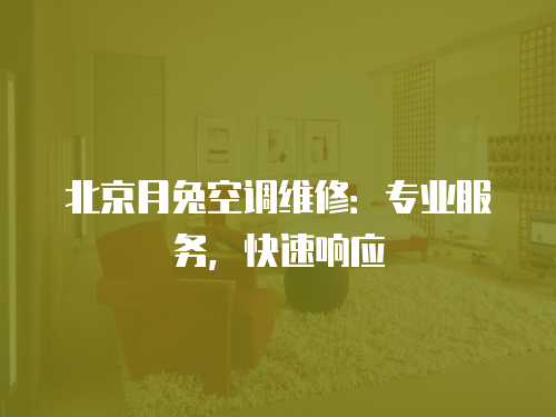 北京月兔空調維修：專業服務，快速響應