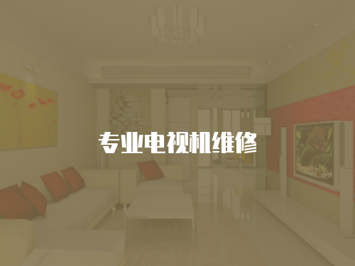 專業(yè)電視機(jī)維修