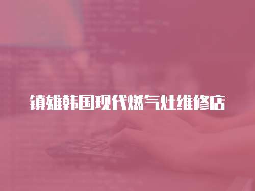 鎮(zhèn)雄韓國現(xiàn)代燃?xì)庠罹S修店