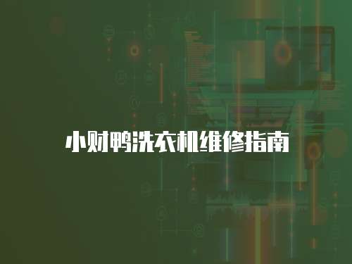 小財鴨洗衣機維修指南