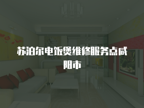 蘇泊爾電飯煲維修服務點咸陽市
