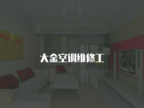 大金空調(diào)維修工