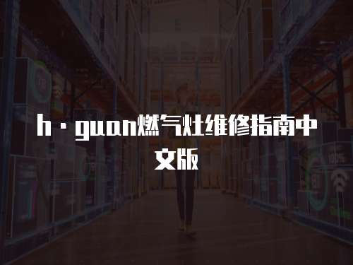 h·guan燃氣灶維修指南中文版