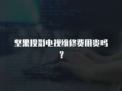 堅果投影電視維修費用貴嗎？