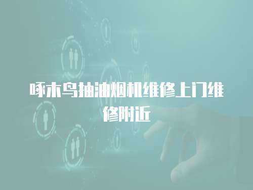 啄木鳥抽油煙機維修上門維修附近