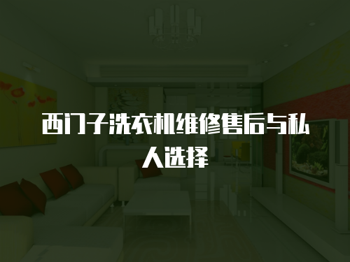 西門子洗衣機維修售后與私人選擇