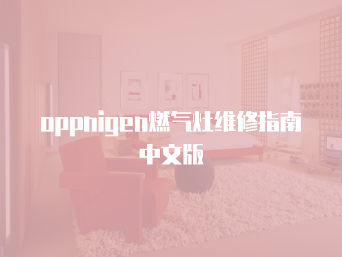 oppnigen燃氣灶維修指南中文版