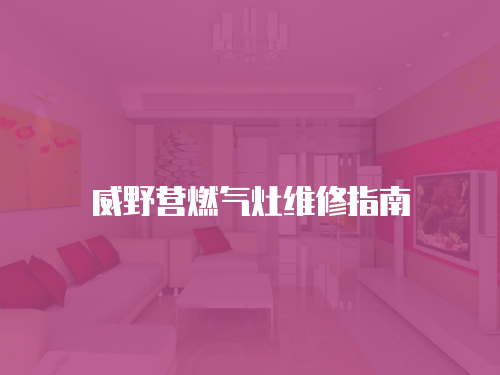 威野營燃氣灶維修指南