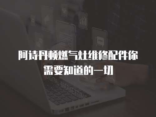 阿詩丹頓燃?xì)庠罹S修配件你需要知道的一切