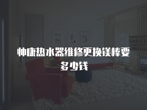 帥康熱水器維修更換鎂棒要多少錢