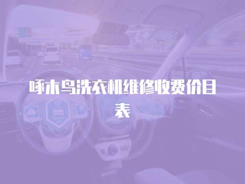 啄木鳥洗衣機(jī)維修收費(fèi)價(jià)目表