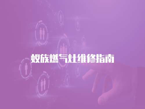 蟻族燃氣灶維修指南