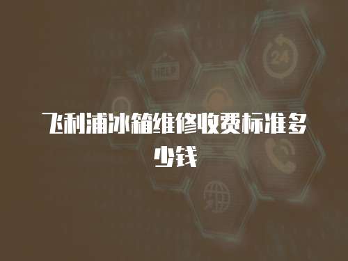 飛利浦冰箱維修收費(fèi)標(biāo)準(zhǔn)多少錢