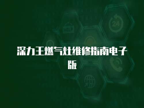 深力王燃?xì)庠罹S修指南電子版