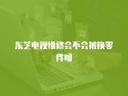 東芝電視維修會不會被換零件呀