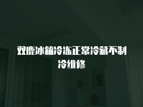 雙鹿冰箱冷凍正常冷藏不制冷維修