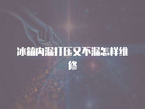冰箱內漏打壓又不漏怎樣維修