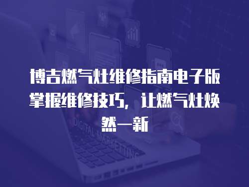 博吉燃氣灶維修指南電子版掌握維修技巧，讓燃氣灶煥然一新
