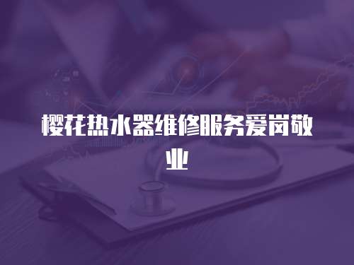 櫻花熱水器維修服務(wù)愛崗敬業(yè)