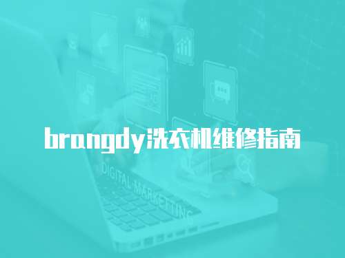 brangdy洗衣機維修指南