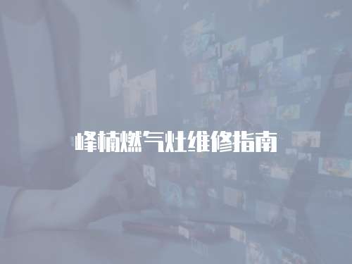 峰楠燃氣灶維修指南