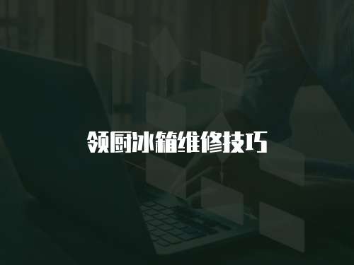 領廚冰箱維修技巧