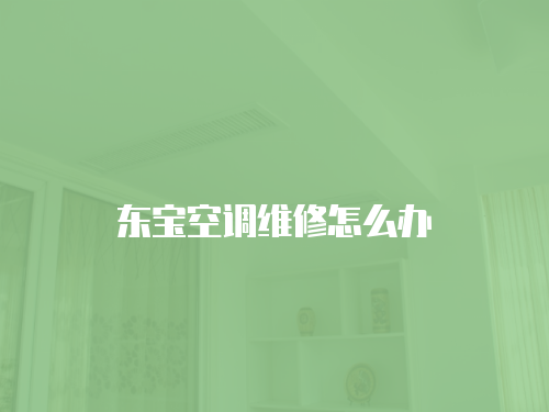 東寶空調(diào)維修怎么辦