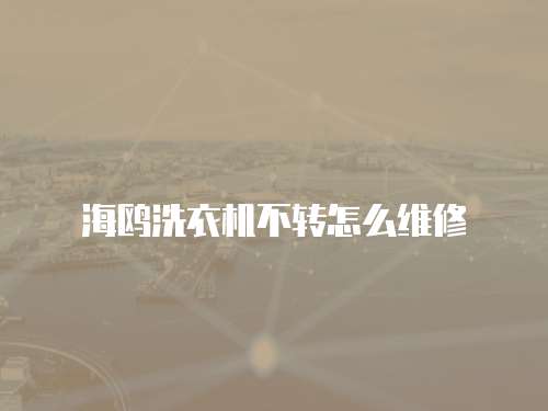 海鷗洗衣機不轉怎么維修