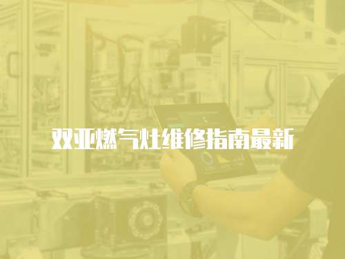 雙亞燃?xì)庠罹S修指南最新