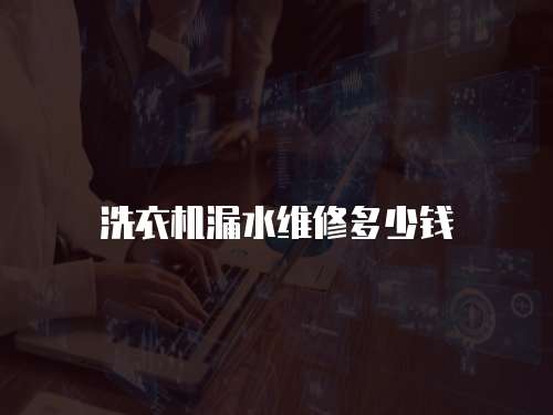 洗衣機漏水維修多少錢