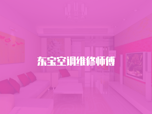 東寶空調(diào)維修師傅