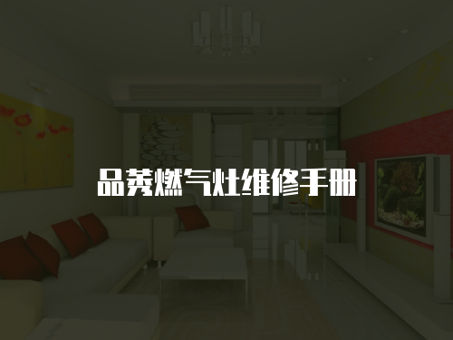 品莠燃?xì)庠罹S修手冊(cè)
