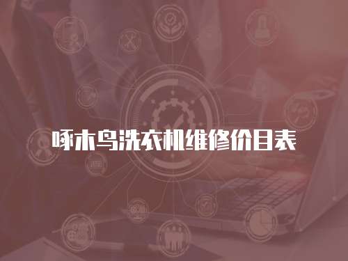 啄木鳥洗衣機(jī)維修價(jià)目表