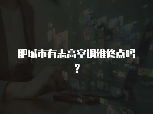肥城市有志高空調維修點嗎？