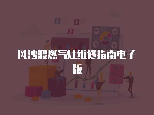 風沙渡燃氣灶維修指南電子版