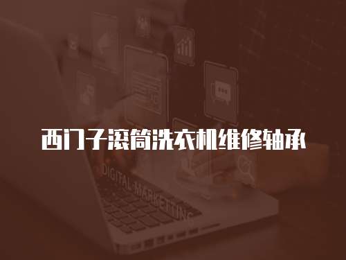 西門子滾筒洗衣機維修軸承