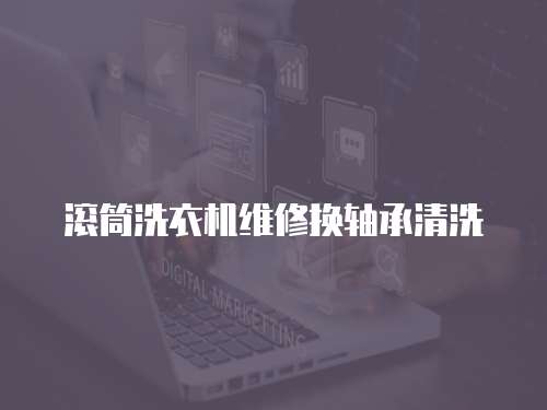 滾筒洗衣機維修換軸承清洗