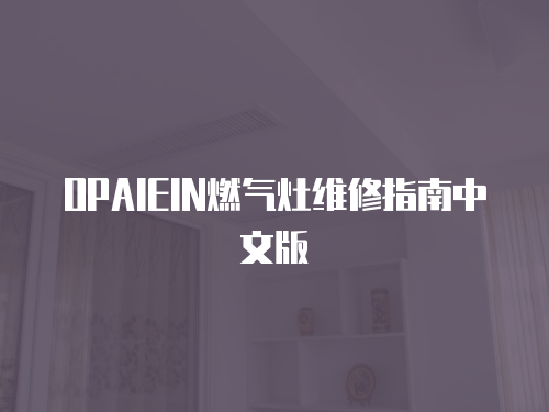 OPAIEIN燃氣灶維修指南中文版