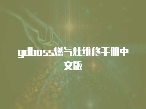 gdboss燃?xì)庠罹S修手冊(cè)中文版
