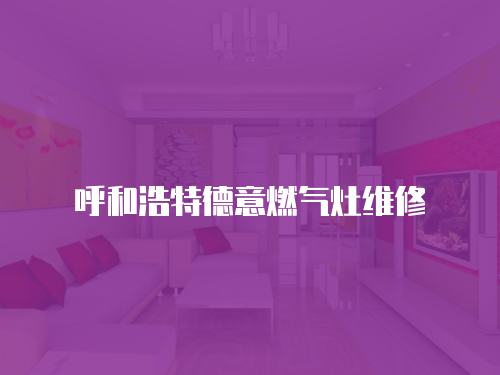 呼和浩特德意燃?xì)庠罹S修