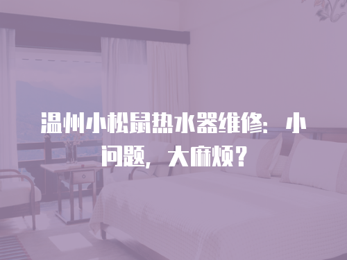 溫州小松鼠熱水器維修：小問題，大麻煩？