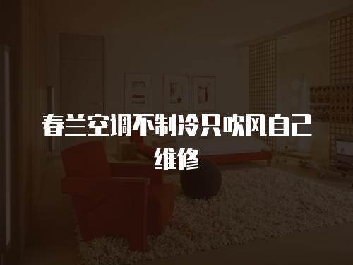 春蘭空調(diào)不制冷只吹風(fēng)自己維修