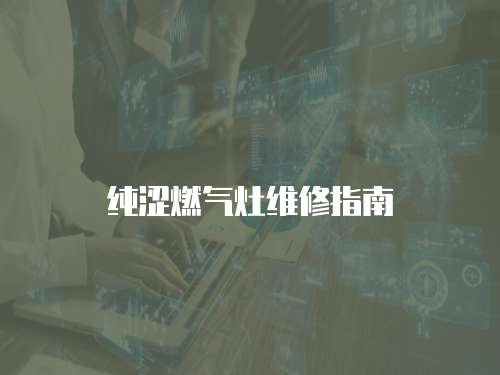 純澀燃氣灶維修指南