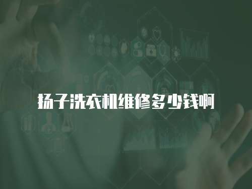 揚子洗衣機維修多少錢啊
