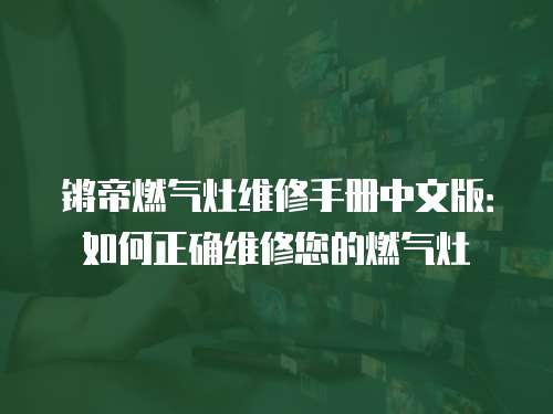 鏘帝燃氣灶維修手冊中文版：如何正確維修您的燃氣灶