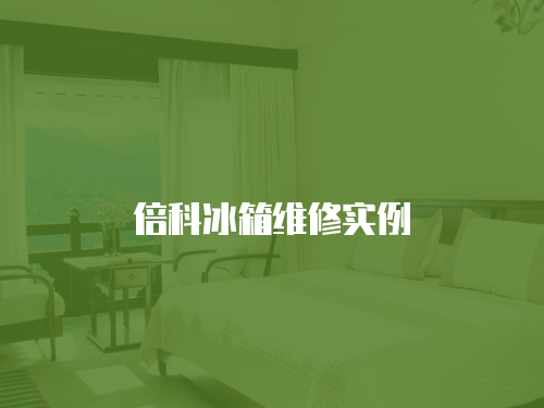 倍科冰箱維修實例