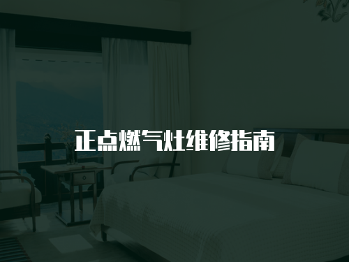 正點燃氣灶維修指南